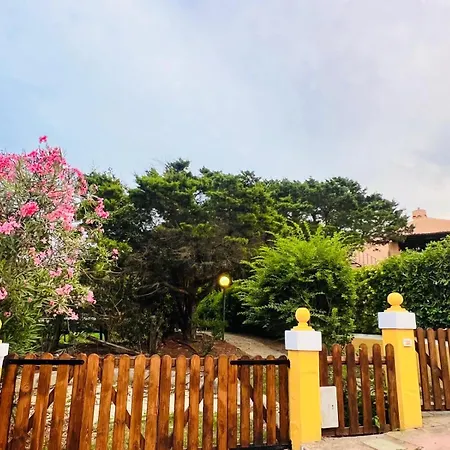 Villa Sole Con Piscina Privata Punta de su Torrione